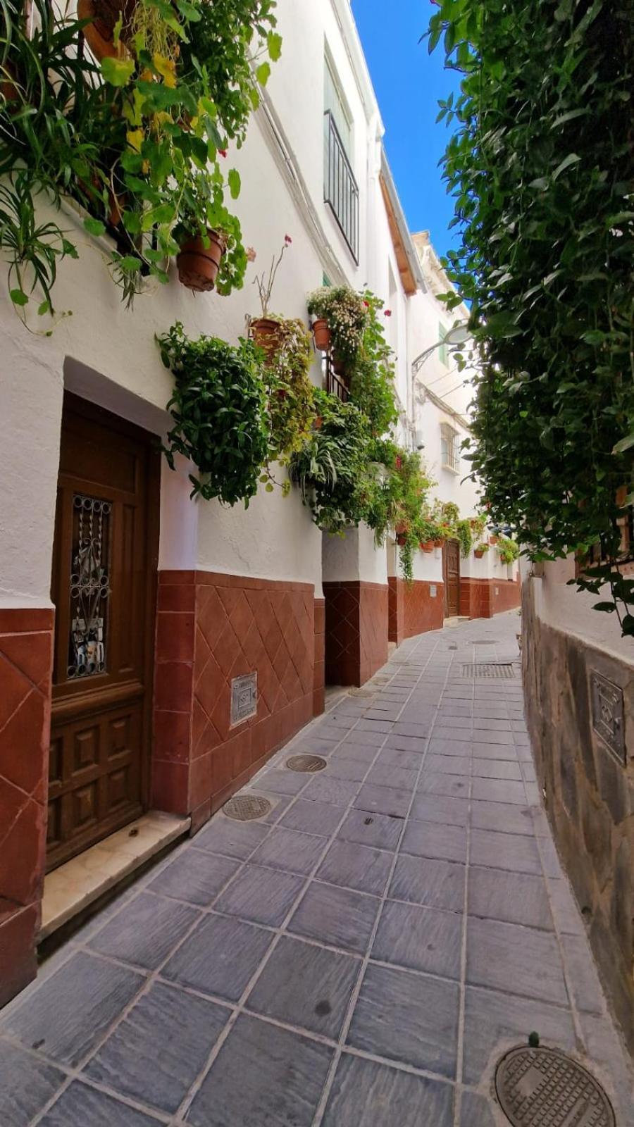 Apartamentos Sierra Nevada Park Guejar-Sierra Εξωτερικό φωτογραφία